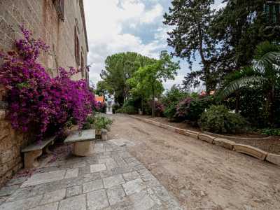 ... per incamminarci lungo il grigio viale basolato esterno...